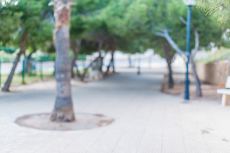 Blurred defocused natural backgroundの写真素材