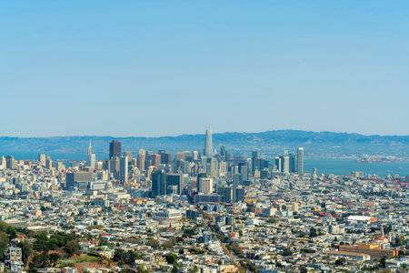 downtown san francisco with hills and trees and folliage in sun midday with houses and neighborhoods multicolored with ocean and blue and white sky in backgroundの写真素材
