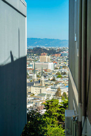Row of modern houses in foreground with different colors and downtown city of san francisco california with skyscrappers. In afternoon sun with front yard trees and buildings in historic districts.の写真素材
