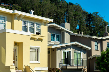 House facades or exteriors in the historic districts of downtown san francisco california in late afternoon sun. Blue sky and backyard forest in middle class american dream neighborhoods.の写真素材