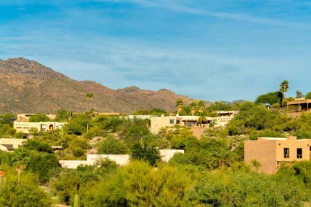 Modern mansions on a hilltop neighborhood in arizona with native trees cactuses and grasses in rural community. Visible moutain background in late evening sun in the sonora desert of america.の写真素材
