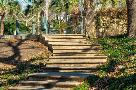 Secret stairway in the park or garden for hikers or travelers called to adventure in the great outdoors with trees in shade. Late afternoon sun with dirt and shrubs in natural reserve or rural area.の写真素材