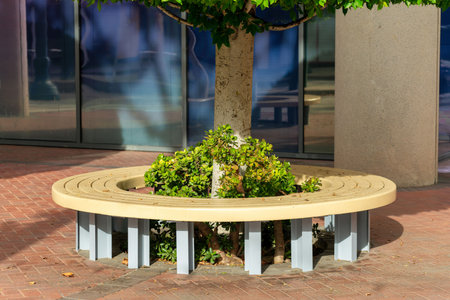 Round bench near tree in urban area with white and yellow painted wood with shrubs on base of planter in city. Neighborhood seat for pedestrians to use and walk by in suburban sidewalk region.の写真素材