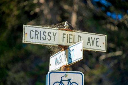 White and black road sign that say Crissy field avenue and mason street with bicycle on post near road in downtown city. Late afternoon sun with forest tree background in neighborhood.の写真素材