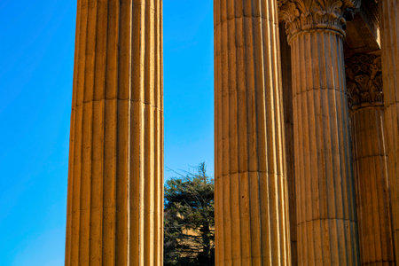 Tall colloseum pillars with vertical ridges and background trees with clear blue sky on temple or...