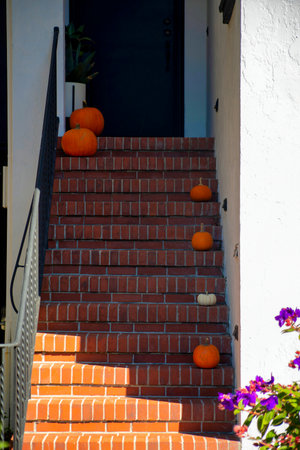 Brick staircase entrance to house or home in downtown city neighborhood with decorative autumn pumpkins. White exterior with plants near front door with black metal hand rail in shade.の写真素材