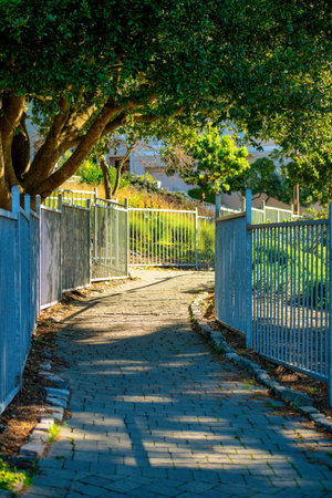Shaded pathway with rod iron gates on both sides with sun in distance and trees shrubs foliage in park outdoors. Walking the dog on cobblestone pathway in recreation area secret pathway.の写真素材