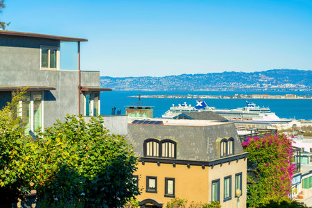 Houses and homes on Lombard street in historic districts san francisco california downtown neighborhoods. Winding snaking path of road with front yard trees and mountains in midday sun city.の写真素材