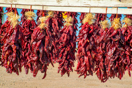 Row of chili pepper dried or dehydrated wreaths in late afternoon sun hanging from piece of wood in desert area. For sale on side of road for money used in cooking and spicey recipes in desert areas.の写真素材