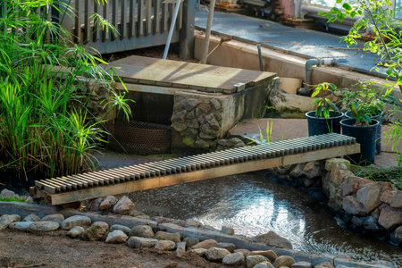 Metall bridge or footpath onside scientific research facility or greenhouse with small creek or stream and plants. Rocks on edge of liquid water with trees and vegetation in afternoon shade indoors.の写真素材