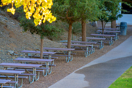 Row of picnic benches in school yard for children to ear at summer camp with visible trees grass and sidewalk. Wood benches with leaves and foliage in outdoor recreation center for recess.の写真素材