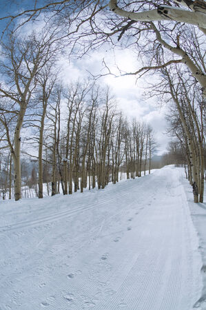 Snow trail の写真素材
