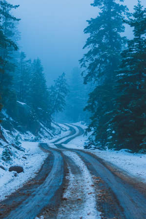 Driving into an elevated abyss of clouds.の写真素材