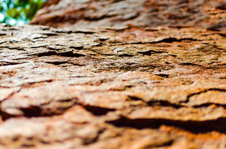 A close-up look at the uneven red surface of a stone typical of those found in outback Australia, shot with a narrow depth of field.の写真素材