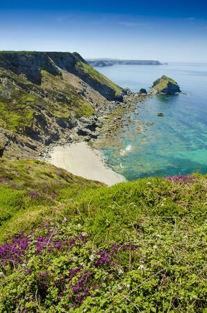 A beautiful sunny day at Bassets cove on top the cliff, Cornwall, England