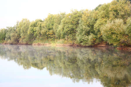 blue lake with colorful wood and blue sky in autumnの写真素材