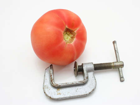 The red tomato and metal clamp lie nearby on a white backgroundの写真素材