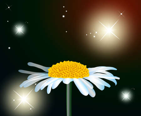 Camomile flower on a space backgroundのイラスト素材