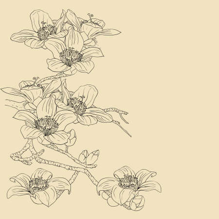 tender twig blossoming orchids on a light background のイラスト素材