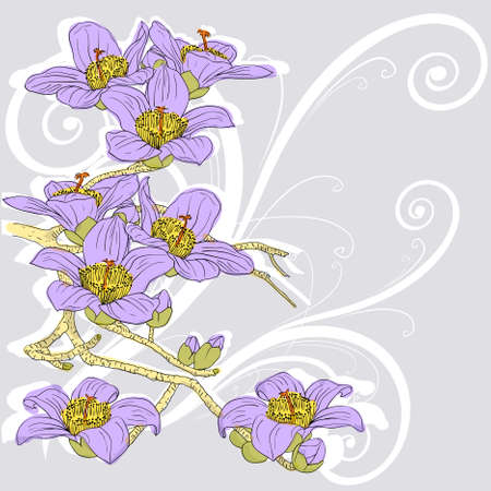 tender twig blossoming orchids on a light background のイラスト素材