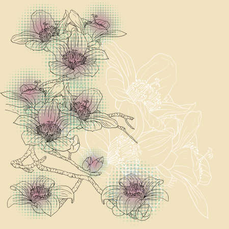 tender twig blossoming orchids on a light background のイラスト素材