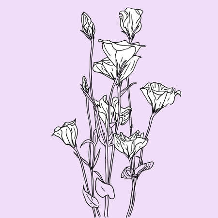 vector flower backgroundのイラスト素材