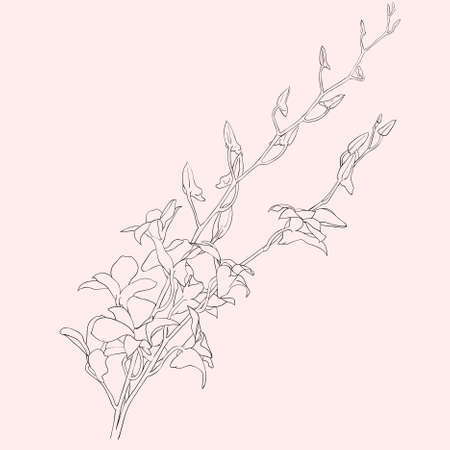 Background with blooming flowersのイラスト素材