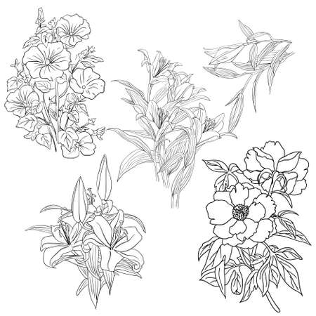 Set of in hand drawn style. illustration.のイラスト素材