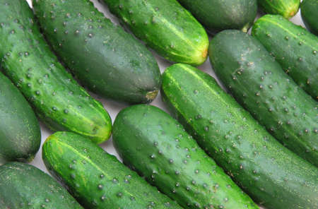 Cucumbers isolated on white backgroundの写真素材