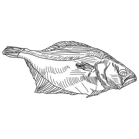 drawing hand fishのイラスト素材