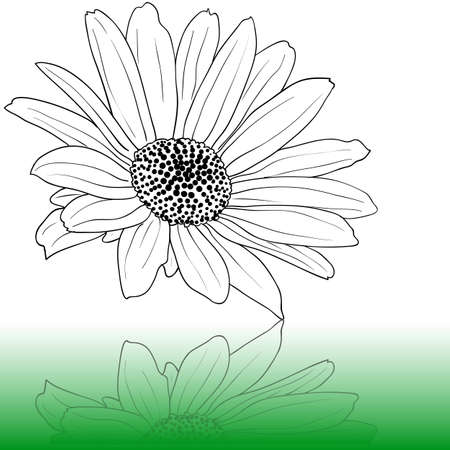 vector hand drawn illustrationのイラスト素材