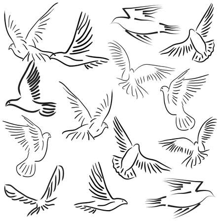 Concept of love or peace. Set of white vector doves.のイラスト素材