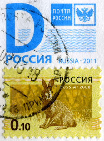 RUSSIA - CIRCA 2008: Stamp printed in RUSSIA showing hare Bunny circa 2008.の写真素材
