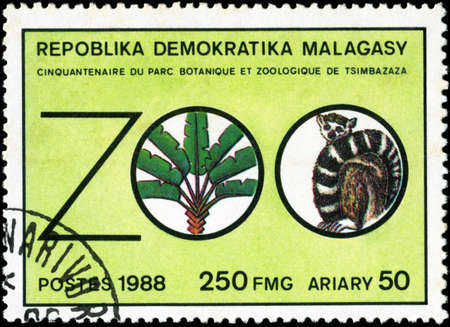 REPULLICA MALAGASY - CIRCA 1988: A stamp printed in Malagasy (Madagascar) devoted Botanical and zoo park Tsimbazaza, circa 1988の写真素材