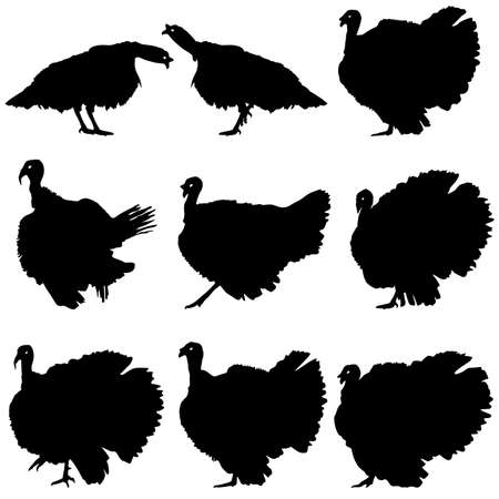 Silhouettes of turkeysのイラスト素材