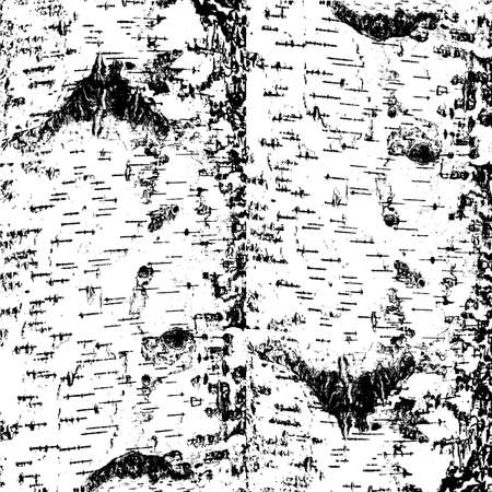 bark of birch in the cracks texture. Vector illustration.のイラスト素材