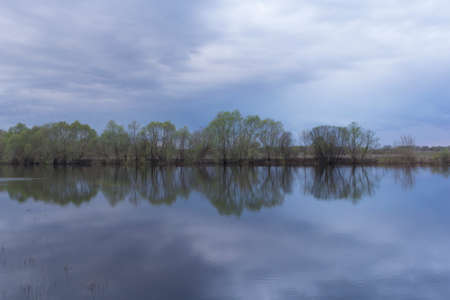 Reflection of birches tree in a lakeの写真素材