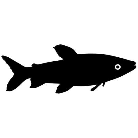 Black silhouette of aquarium fish on white background.のイラスト素材