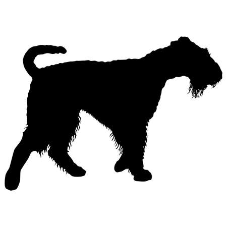 Airedale terrier dog silhouette on a white background.のイラスト素材