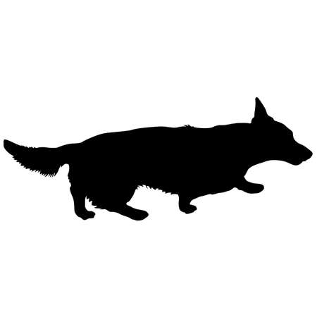 Welsh Corgi dog silhouette on a white background.のイラスト素材