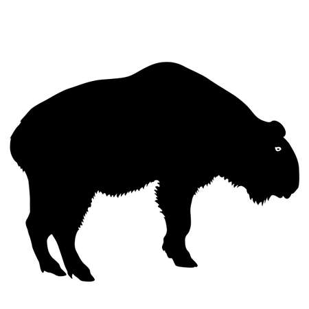 Silhouette of the bison on a white background.のイラスト素材