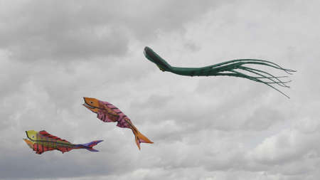 Color kite soaring in the sky.の写真素材