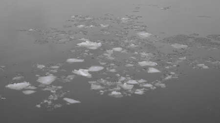 Spring high water, ice floes floating on the river in the spring.