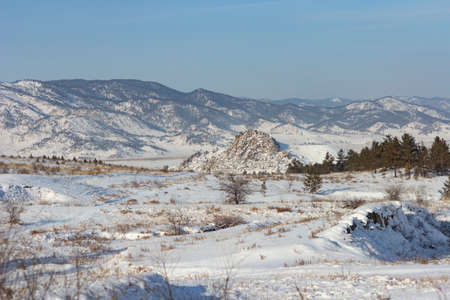 Winter sunset in the forest with sunbeams.の写真素材