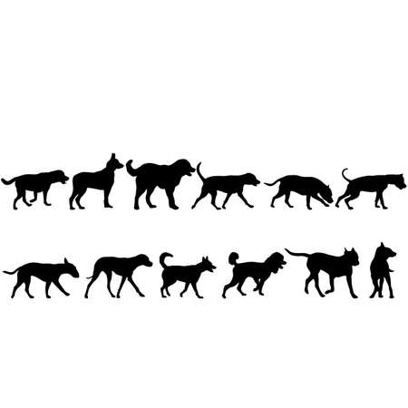 Set silhouette domestic dog on a white background.のイラスト素材