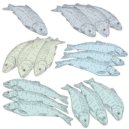 collection of natural marine fish sketch on white background.のイラスト素材