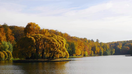 Autumn leaves fall in the forest, natural landscape.