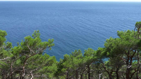 Black Sea coast of a wild beach near the Cape Idokopas, not far from the famous Putin's secret palace, rural area of the municipality resort town of Gelendzhik.の写真素材