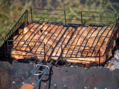 Shashlik cooked on a barbecue fire with smoke from the fire.の写真素材