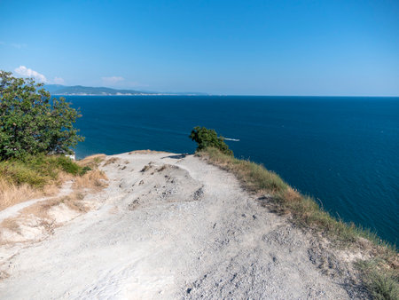 Beautiful coast with rocks and plants.の写真素材